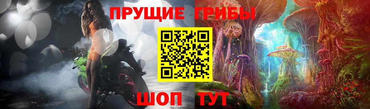 Галлюциногенные грибы Cubensis Троицк