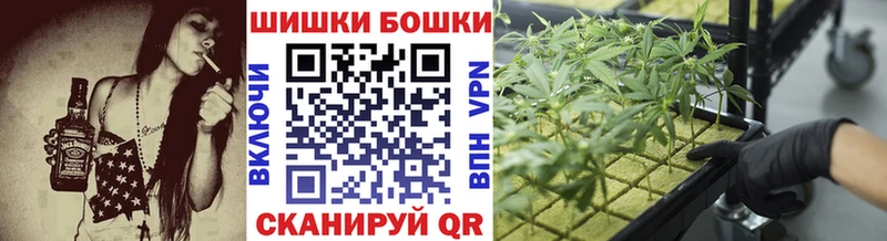 купить закладку  Троицк  Канабис Amnesia 